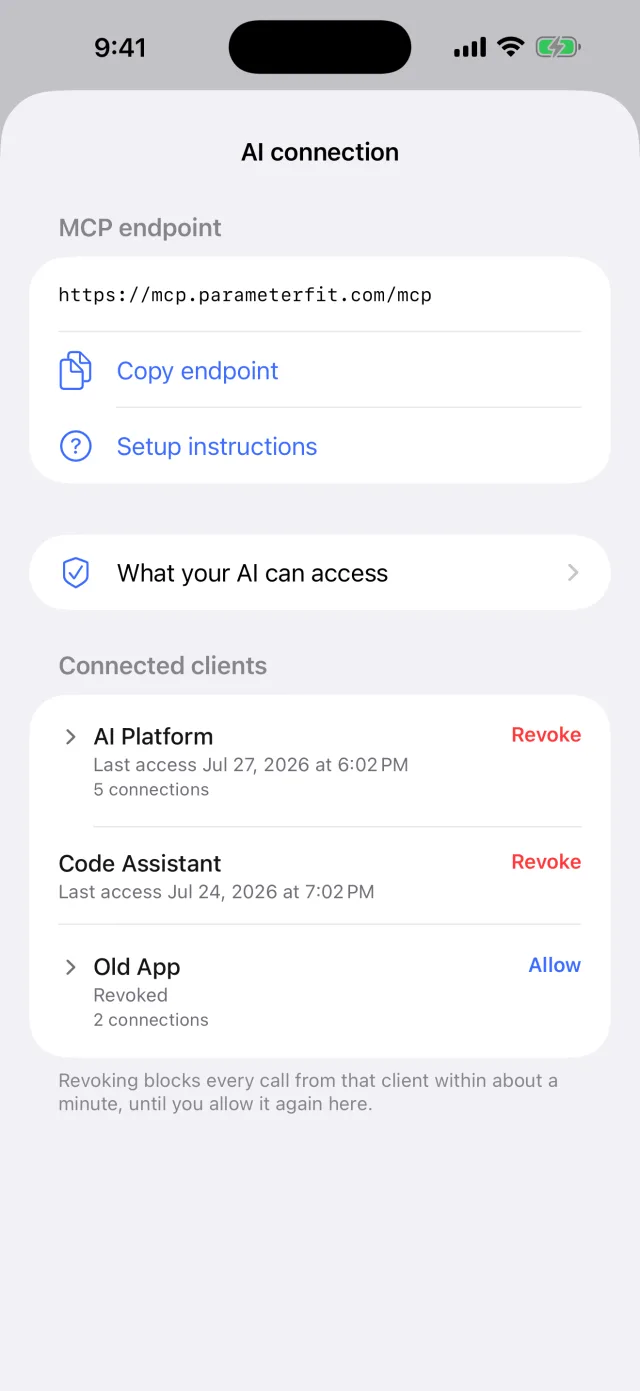The AI Connection screen in Settings, where a user authorises their AI